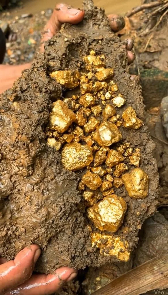 Gold